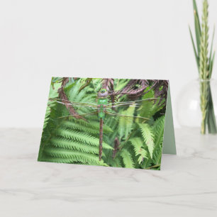 Jolie libellule dans la carte de voeux photo de ja