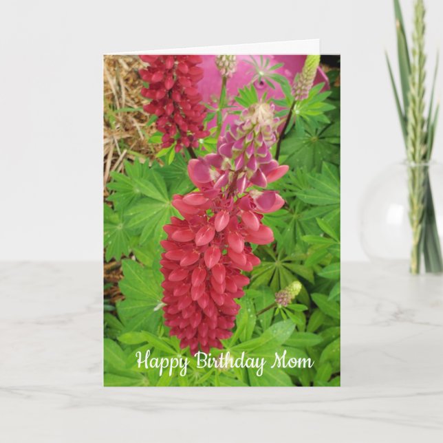 Jolie Lupine Rose Floral Carte d'anniversaire (Devant)
