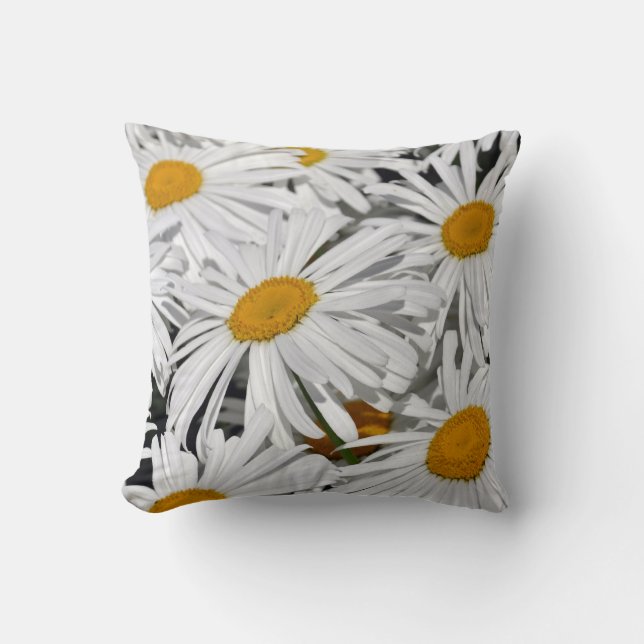 Jolie marguerite blanche jeter coussin (Recto)