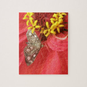 Jolie mite sur le puzzle de fleurs rouges