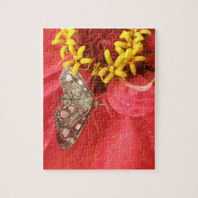 Jolie mite sur le puzzle de fleurs rouges (Vertical)