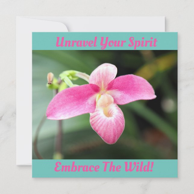 Jolie Orchidée rose (Devant)