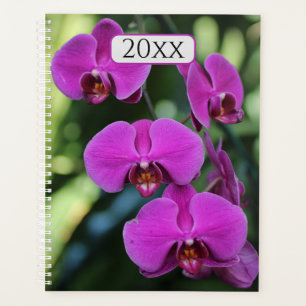 Jolie Orchidées pourpres Année Personnalisée Flora