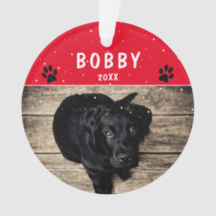 Jolie Paw Red Dog ou Pet Photo de Noël