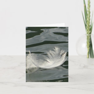 Jolie plume blanche