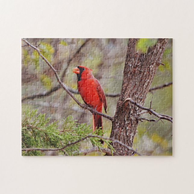 Jolie Red Cardinal Bird Nature Puzzle (Horizontal)