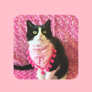 Jolie rose pêche les Stickers Tuxedo Cat