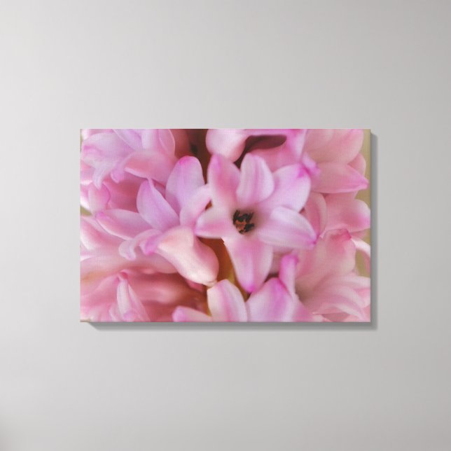 Jolie toile d'art de fleurs de jacinthe roses de p (Recto)
