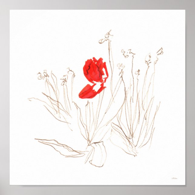 Jolie tulipe au vent et poster pluie (Devant)