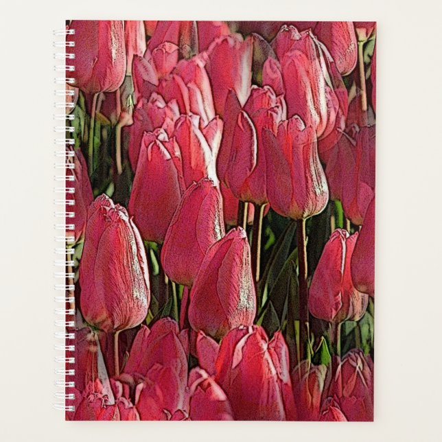 Jolie tulipe rose (Devant)