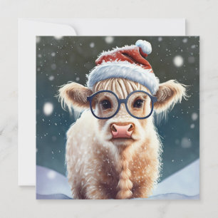 Jolie vache Highland dans la neige