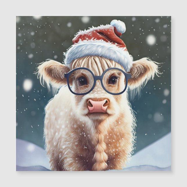 Jolie vache Highland dans la neige (Devant)