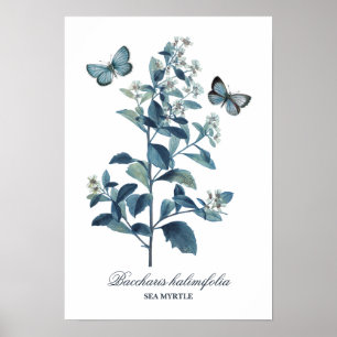 Jolie Vintage Bleu Botanique Floral Impression
