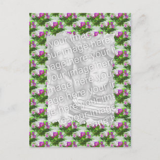 Jolie Violets Floral Photo Carte postale