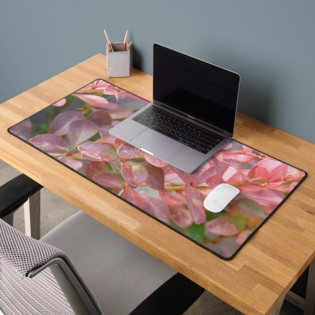 Jolies branches roses (Bureau 2)