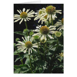 Jolies fleurs