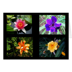 Jolies fleurs, vides
