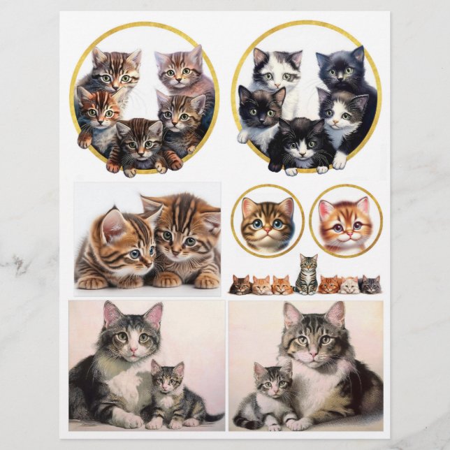 Jolies illustrations de chats inspirées de H. Magu (Devant)