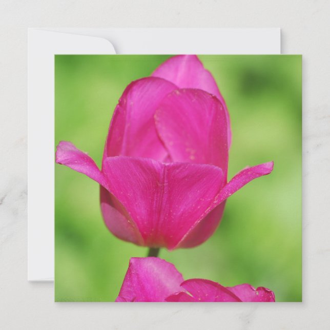 Jolies invitations de tulipes (Devant)