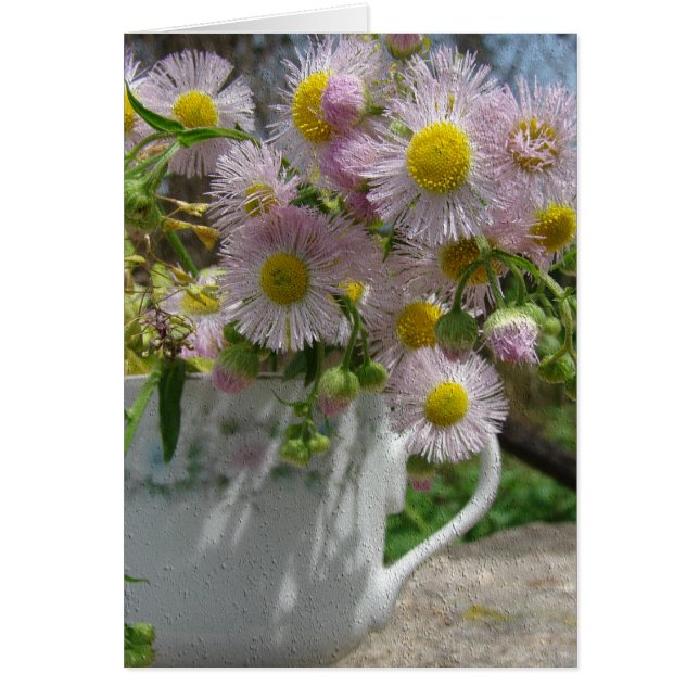 Jolies mauvaises herbes (Devant)