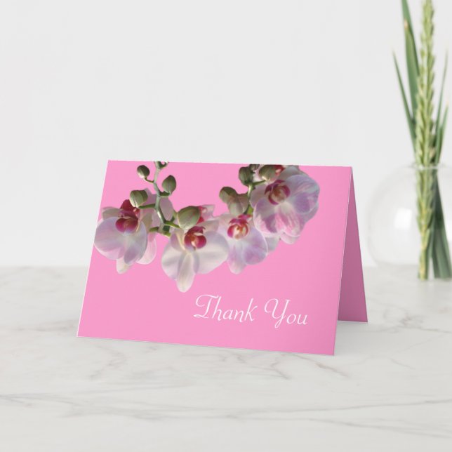 jolies orchidées roses fleurs roses merci (Devant)