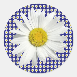 Jolis autocollants de marguerite