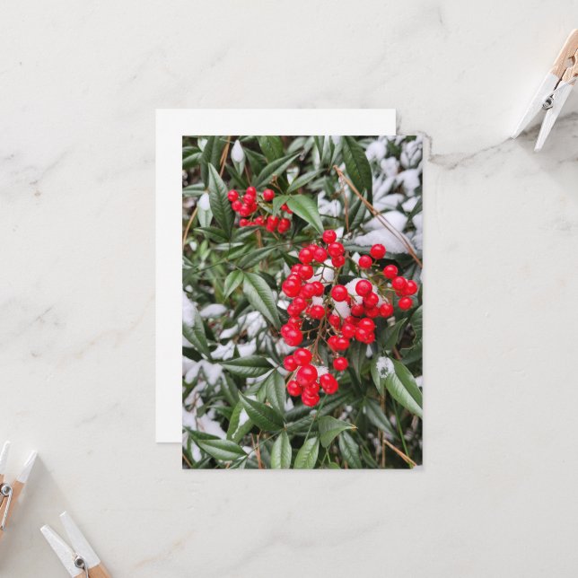Jolly Winter Berry Noël carte de voeux (Devant/Arrière en situation)