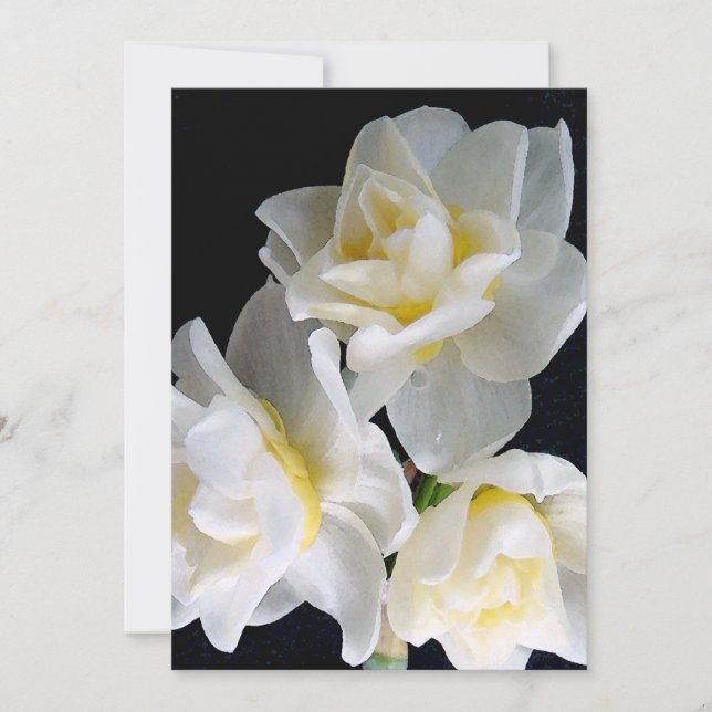 Jonquil Flower - Ecclesiastes 3:1 (Devant)