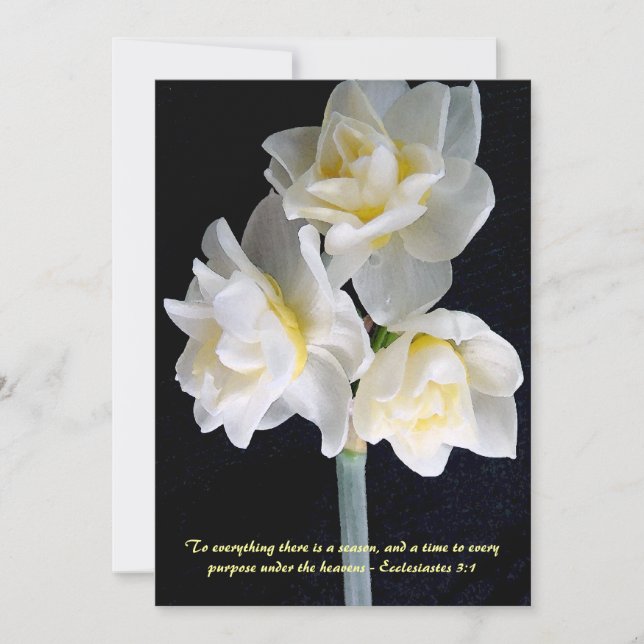 Jonquil Flower - Ecclesiastes 3:1 (Devant)