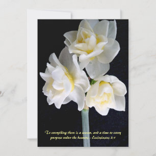 Jonquil Flower - Ecclesiastes 3:1