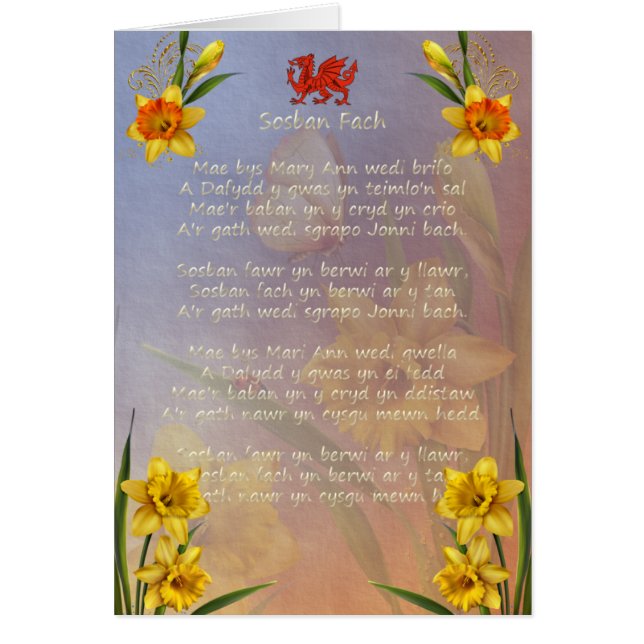 Jonquille de Sospan Fach décorée (Devant)