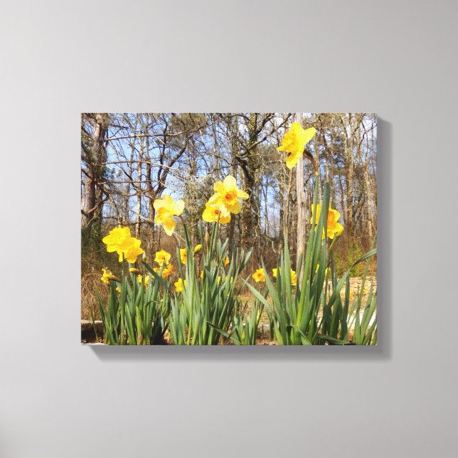 Jonquilles à la copie de toile de Pâques (Recto)