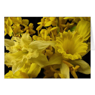 Jonquilles et forsythia