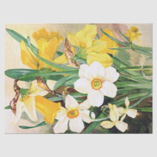 Jonquilles jaunes et papier de soie de soie blanc