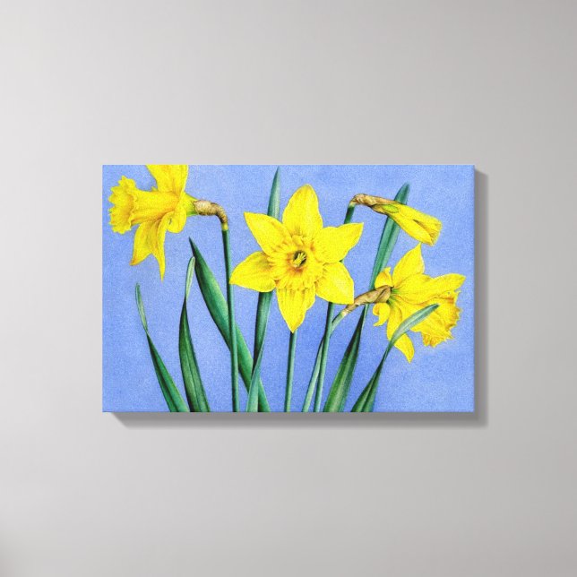 Jonquilles jaunes sur impression de toile bleue (Recto)