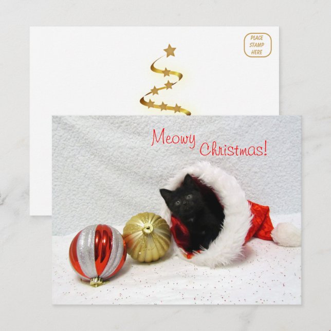 Joon's Christmas - Chat / Carte postale Kitten (Devant / Derrière)