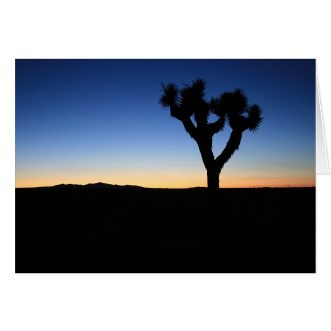 Joshua Arbre Silhouetté (Devant horizontal)