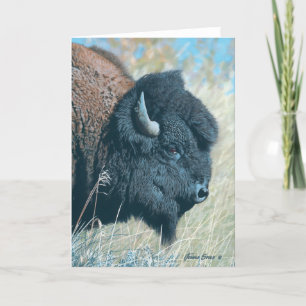 Joshua remarque la carte de note