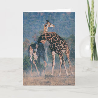 Joshua remarque la carte de note