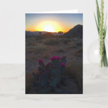 joshua tree coucher de soleil #2 carte de voeux
