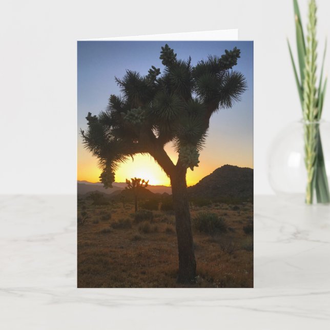 joshua tree coucher de soleil #3 carte de voeux (Devant)