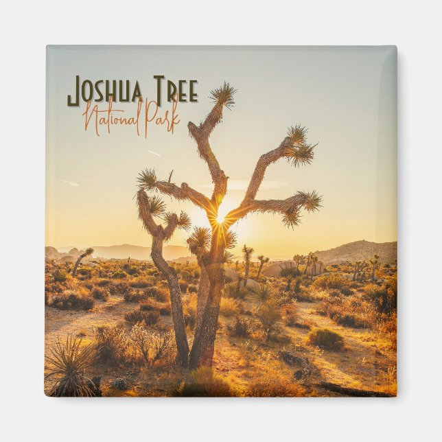 Joshua Tree National Park Souvenir Magnet cadeau (Devant)