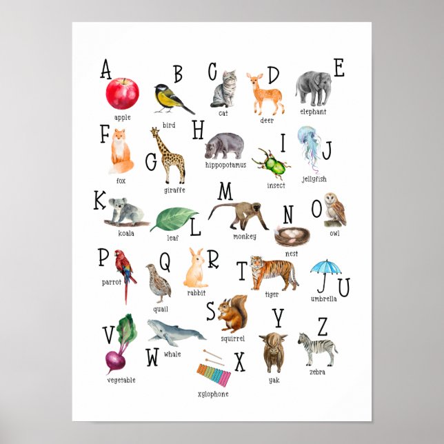 Jote Alphabet ABC Poster éducatif (Devant)