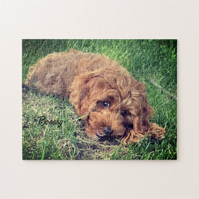Jote Golden Doodle Jigsaw Puzzle (Horizontal)