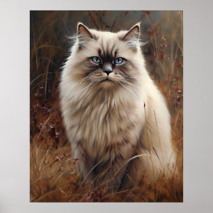 Jote Himalayan Cat Art Imprimer Poster