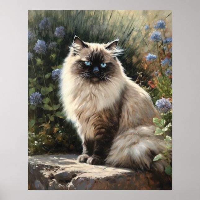 Jote Himalayan Cat Art Imprimer Poster (Devant)