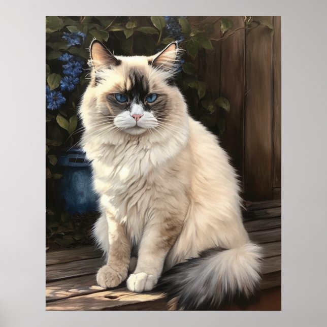 Jote Ragdoll Art Chat Imprimer Poster (Devant)