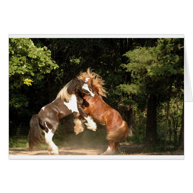 Jouer au coucher du soleil (Devant horizontal)