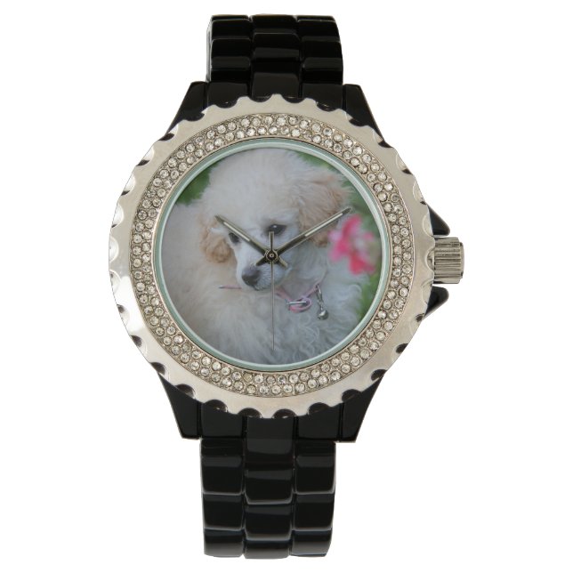 Jouet Poodle chien rhinestone montre poignet (devant)