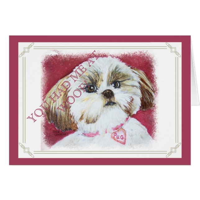 JOUET SHIH TZU MIX (Devant horizontal)